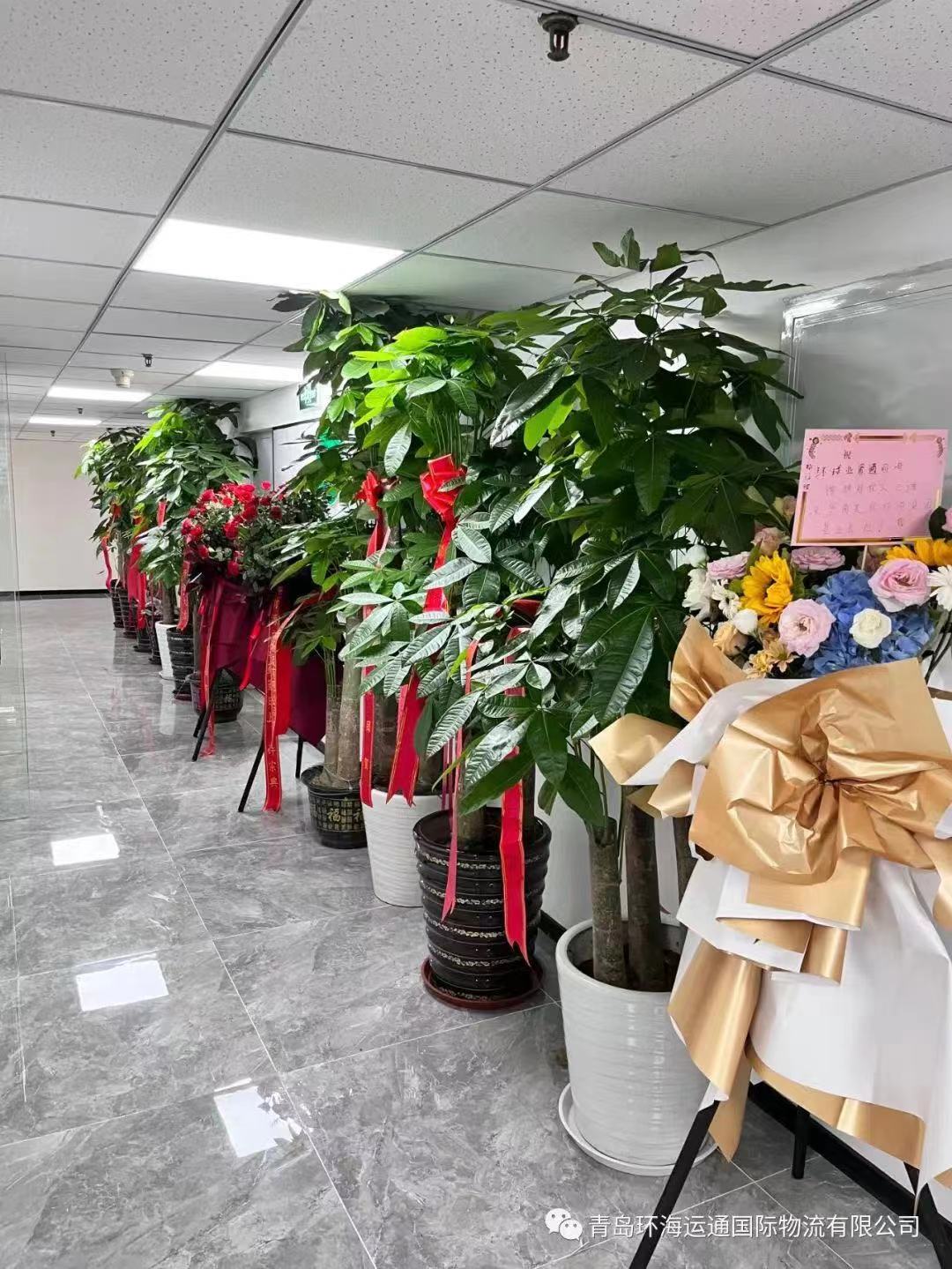 鼎天国际官方网站图片