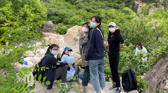 鼎天国际官方网站图片